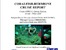 [thumbnail of CoralFISH_NIOZ-64PE313_Cruise_Report.pdf]