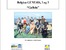[thumbnail of Belgica_0914c_Cruise_Report.pdf]