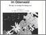 [thumbnail of Mineralien-Gesteine_Odenwald_1975.pdf]