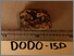 [thumbnail of dodo02ar-015d_dredgephotograph_001.jpg]