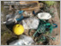 [thumbnail of AMAP-Litter-and-Microplastics-Monitoring-Guidelines.pdf]